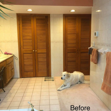 Bathroom Remodels