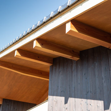 Triangle Roof House