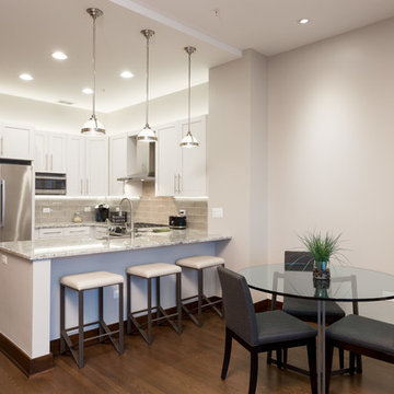 Gold Coast Chicago Kitchen Design & Remodel
