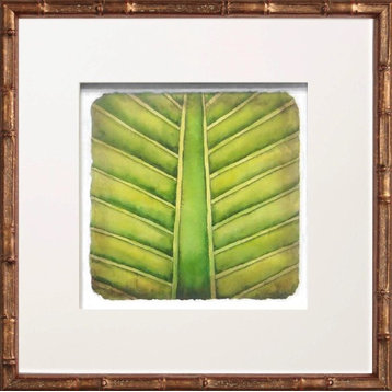 Succulent #1 in Golden Bamboo Artwork