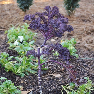 New Stone Plant & Flower Bed in Woodside Plantation, Aiken, SC