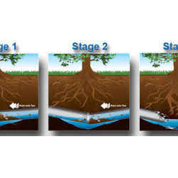 Drain Services - Home Improvement