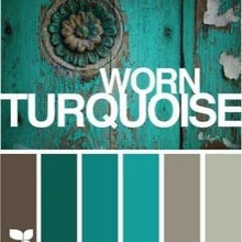 Color Schemes