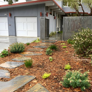 Front Yards without Lawn