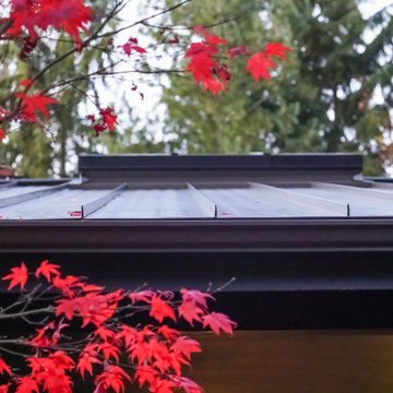 Adding Modern Flare with Metal Roofing
