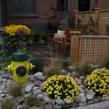 Fire Hydrant Woes