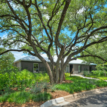 Natural Shade Garden