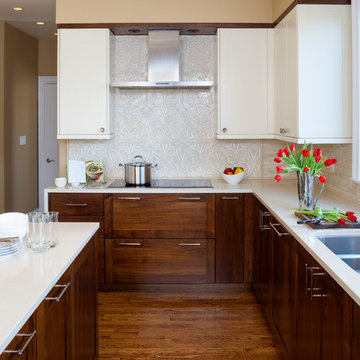 Contemporary, Elegant Kitchen