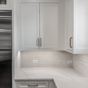 Modern Transitional Kitchen Remodel | Naperville, IL