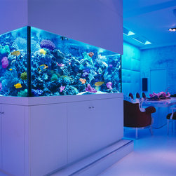 Okeanos - Custom Aquarium Gallery - Products