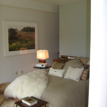 Hudson Passive Project