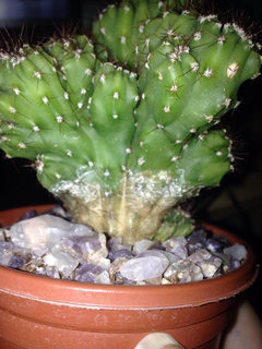 Corking? Or something else | Houzz Forum