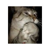 Tracy Rausch's photo