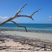 Tina Brooks's photo