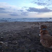 Krystal Yamamoto's photo