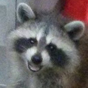 Alison Mitchell-Reid's photo