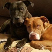 Beth Huelskamp's photo