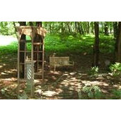 Deborah Spear's photo