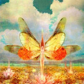 Jacqueline Michajlyszyn's photo