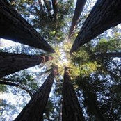 Katie Blum's photo