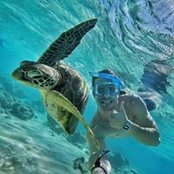 Adam Cook's photo