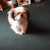 Trudy Hollenbeck's photo