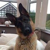 Helen Howarth's photo