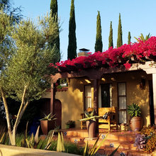 Paso patio garden