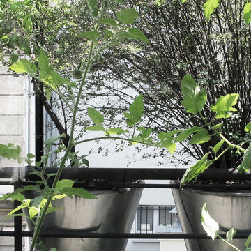 Terrasse sur les toits de Paris