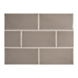 Stuccio Ceramic Tile - Eucalys Gloss 3" x 6" Tile - Tile