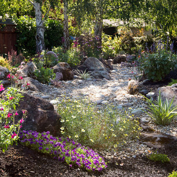Dry Creek Bed