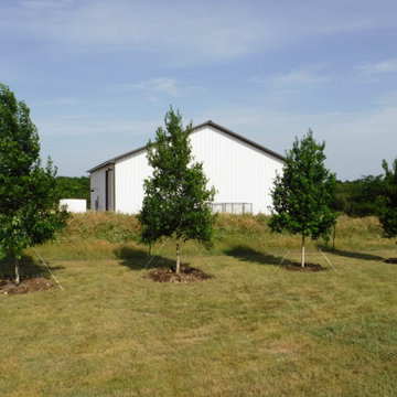 Evergreen Trees & Shrubs