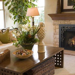 Fireplace inserts Gas Wood  Efficient Heating - Products