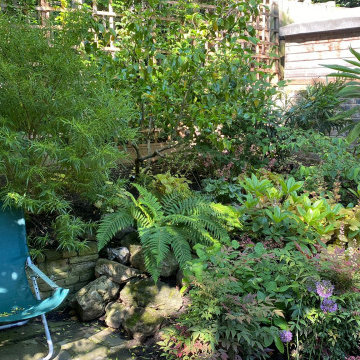 Maida Vale planting