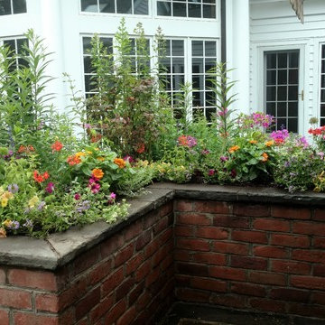 Garden Vistas
