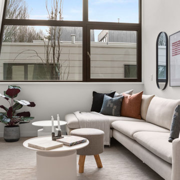 Living Room - Contemporary