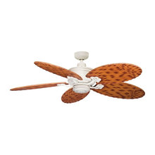 Outdoor ceiling fans