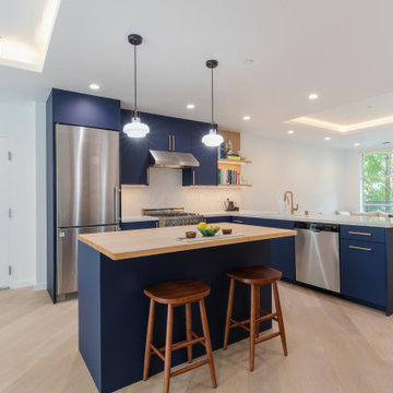 Interior remodeling- Dog -Patch apartment #2