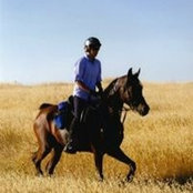 Sharon Wimberg's photo