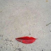 Bettie Graves's photo