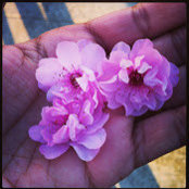 sampada aranke's photo