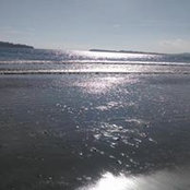 Atman Atman's photo