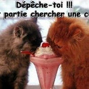 Isabelle Borgeais's photo
