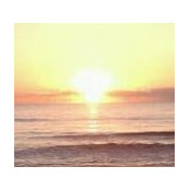 Jacqueline Delorenzo-Giusto's photo