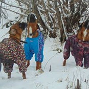 Lyudmila Konobeeva's photo