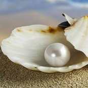 Nicol Anghel's photo
