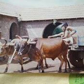 Dinesh Ranganathan's photo
