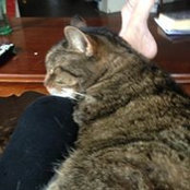 Michele Martel's photo