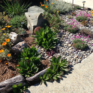 CA Xeriscape
