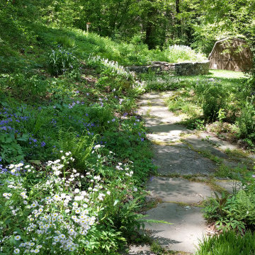 Shady Woodland Flagstone Path with Moss Joints